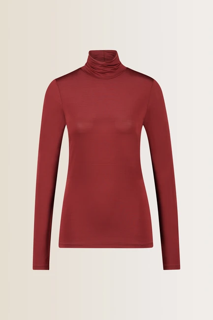 Top met turtleneck